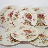 Lot de 6 assiettes à dessert en faïence de Luneville, terre de fer, polychrome