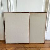 Framed pink botanical posters