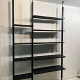 Wall Library or Floor/Ceiling in black wood