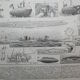 Lithograph • Submarine, submersible, marine • Original engraving from 1898