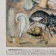 Old illustration Millot "Oceanography"