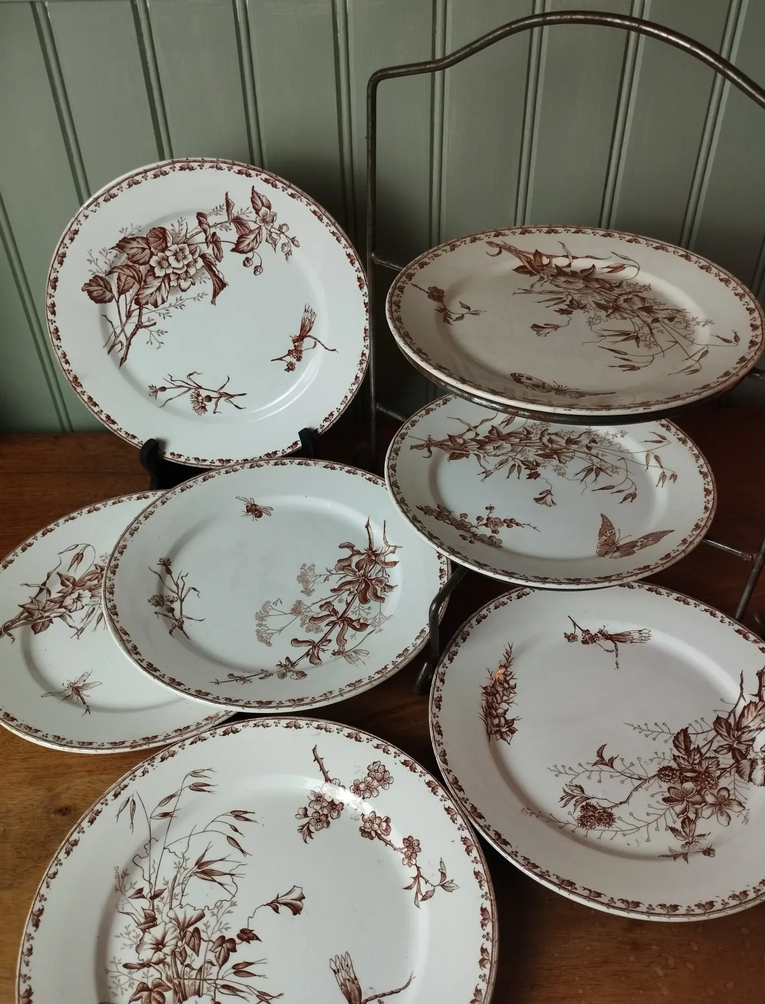 7 flat plates in earthenware from Sarreguemines U&C "Carmen"