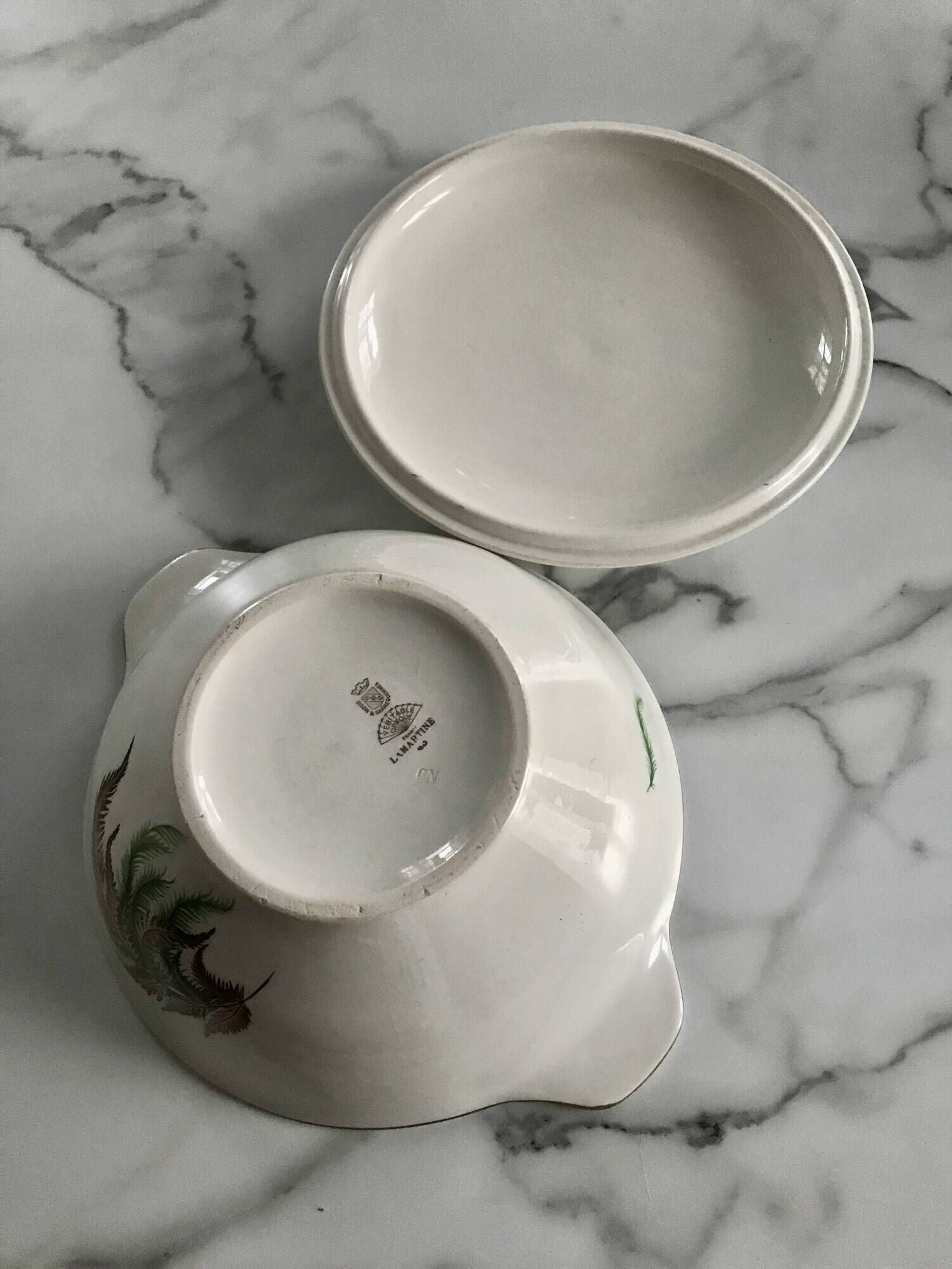 Very pretty vintage Digoin Sarreguemines fern soup tureen
