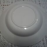 Old hollow dish