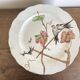 set de 12 assiettes polychrome 1850 ondulées Brownfield England oiseaux
