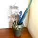 Ceramic vase