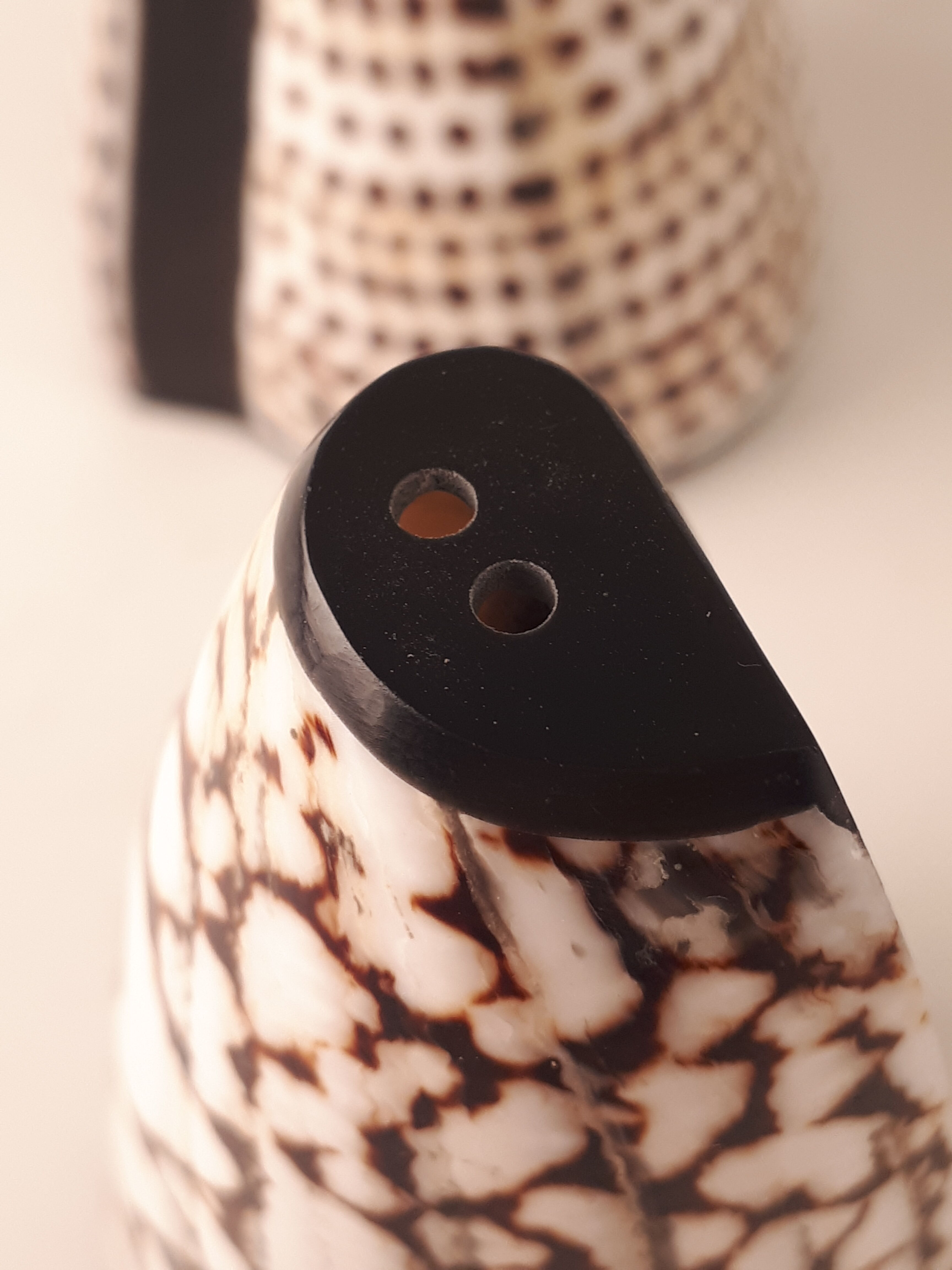 salt salt shaker sea shell real vintage nature curiosity