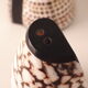 salt salt shaker sea shell real vintage nature curiosity