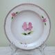 6 stoneware soup plates