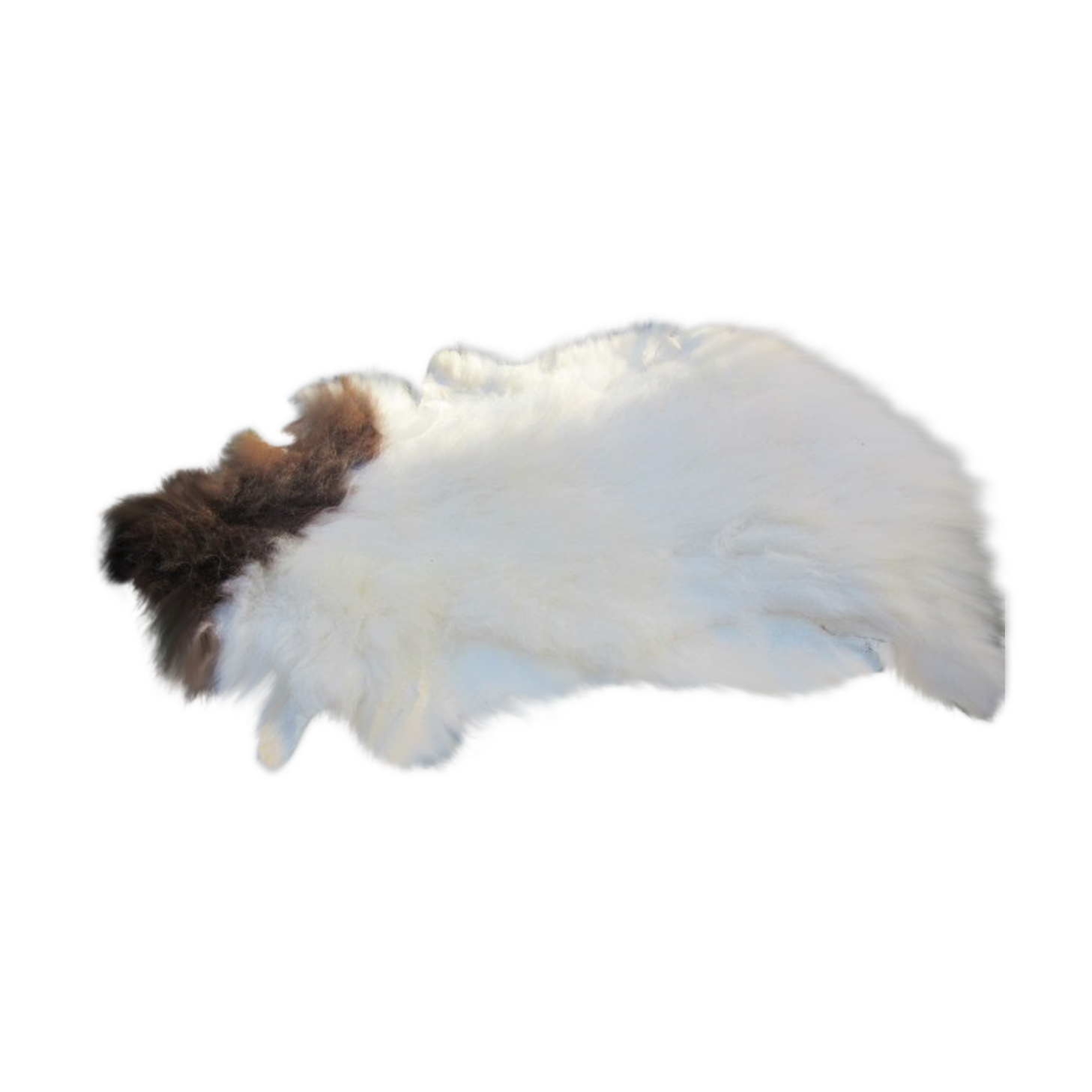 Sheepskin
