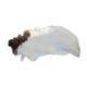 Sheepskin