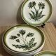 Plates and dish Gien herbarium décor
