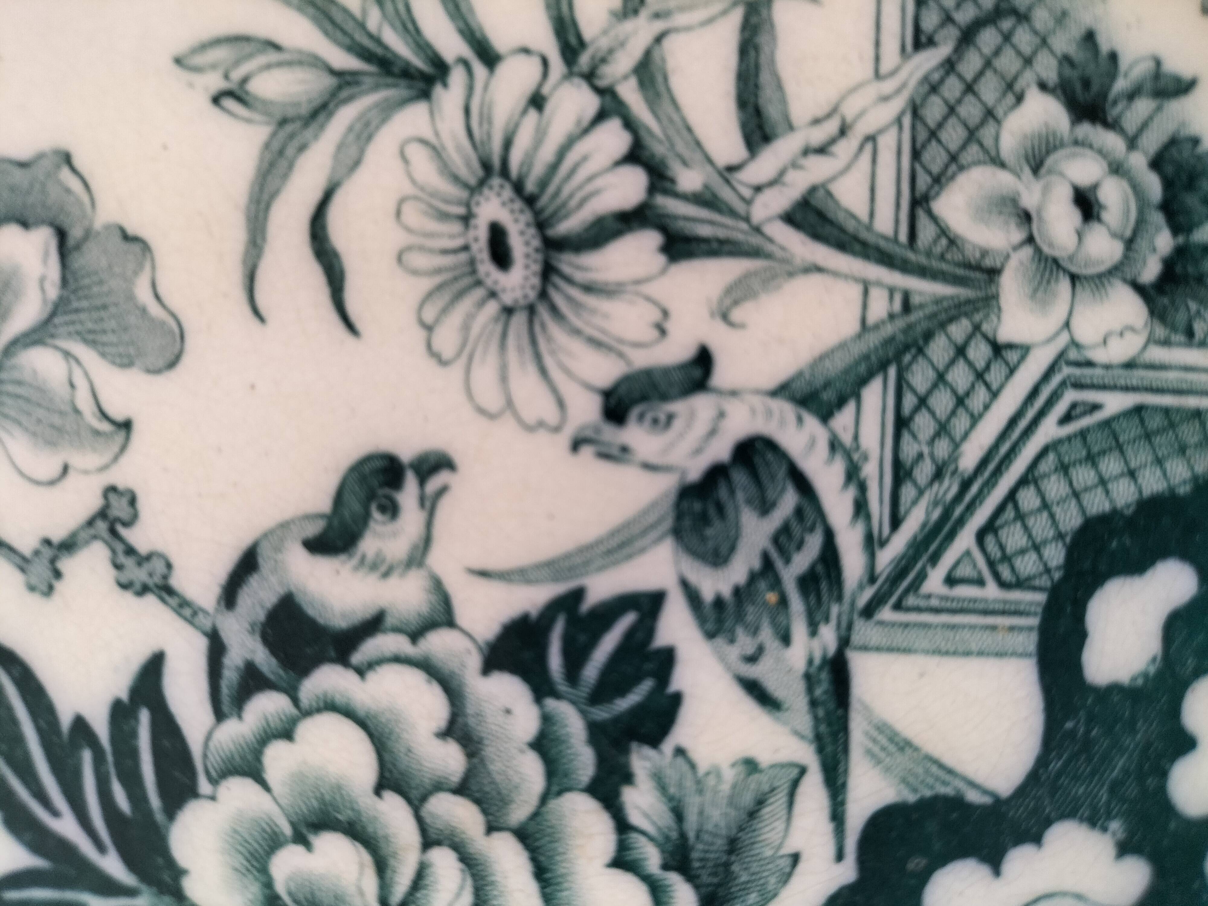 Vintage Wedgwood Bullfinch Plates