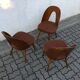 Lot de 3 chaises Lollipop par Antonin Suman, mid century 50s, Tchécoslovaquie