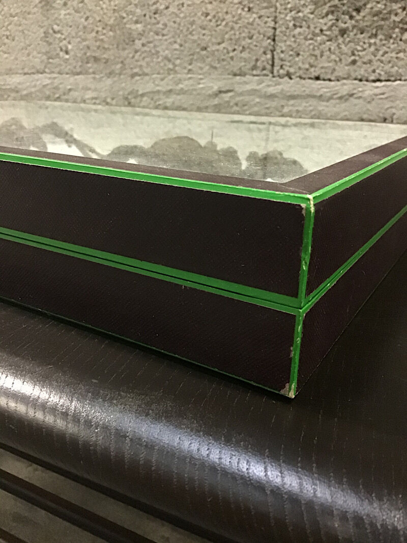 Couple of naturalized mygales in museum box