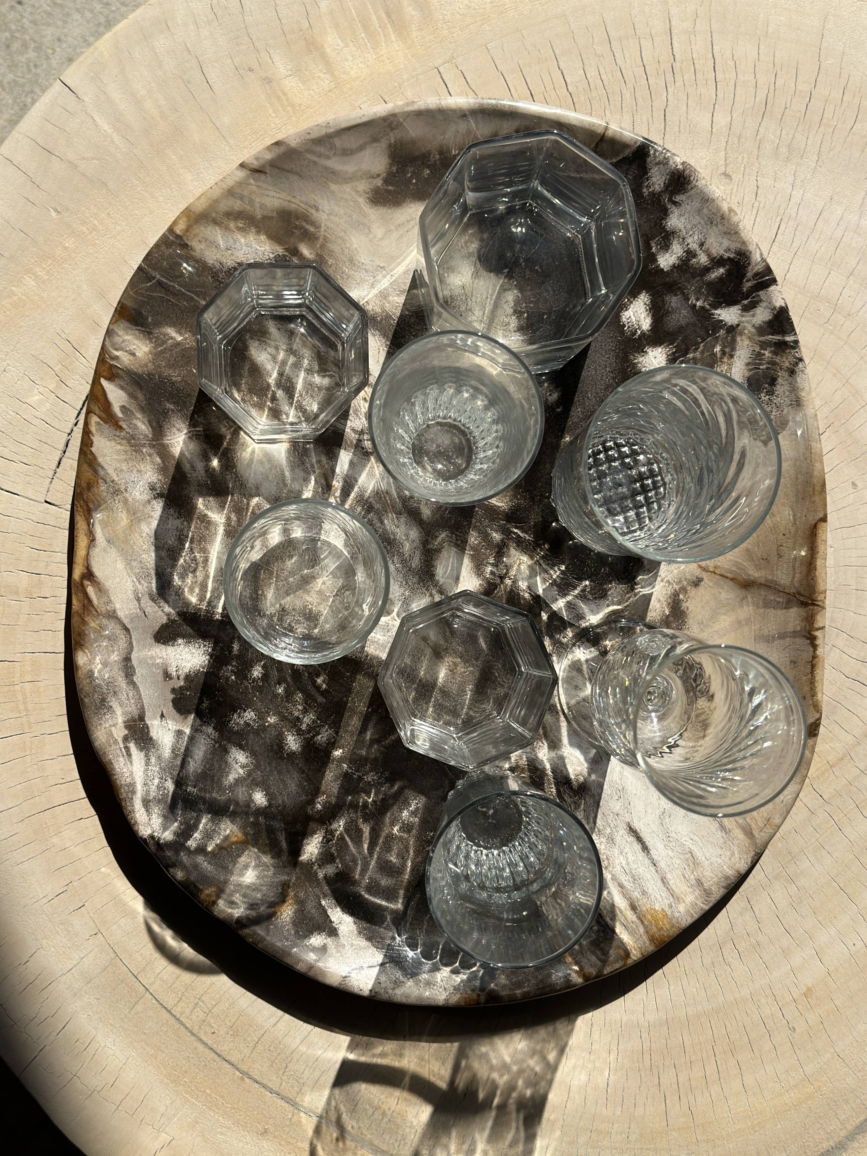 Very large pocket or dish in petrified wood