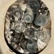 Very large pocket or dish in petrified wood