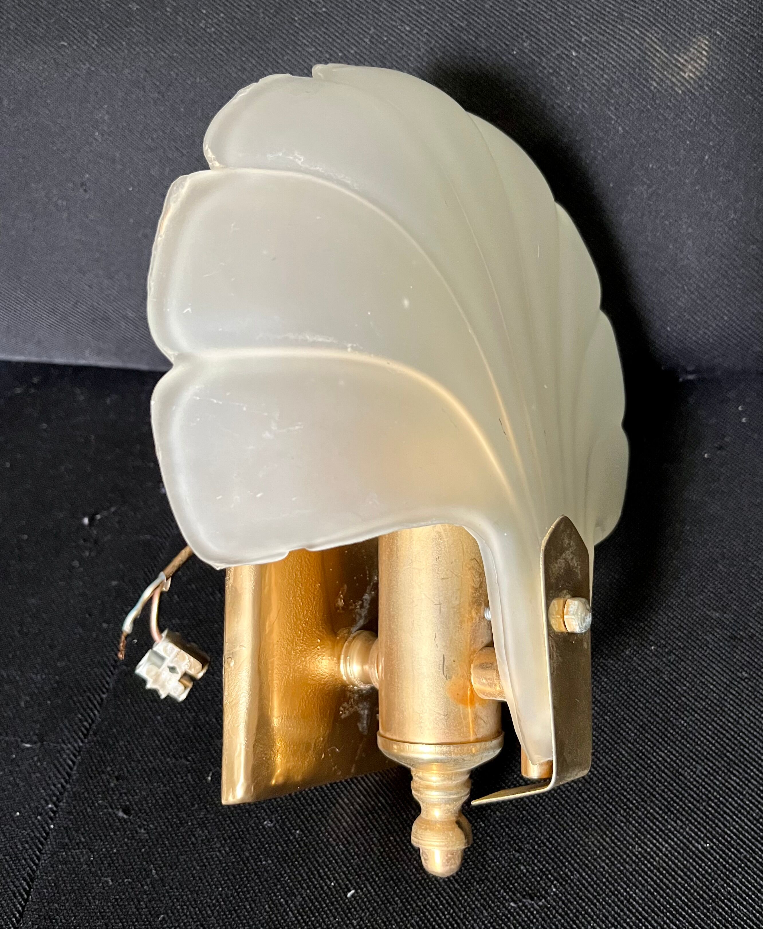 Shell wall lamp