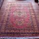 Handmade Pakistani Kafkazi Rug 275x194cm