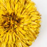 Juju hat yellow 60 cm