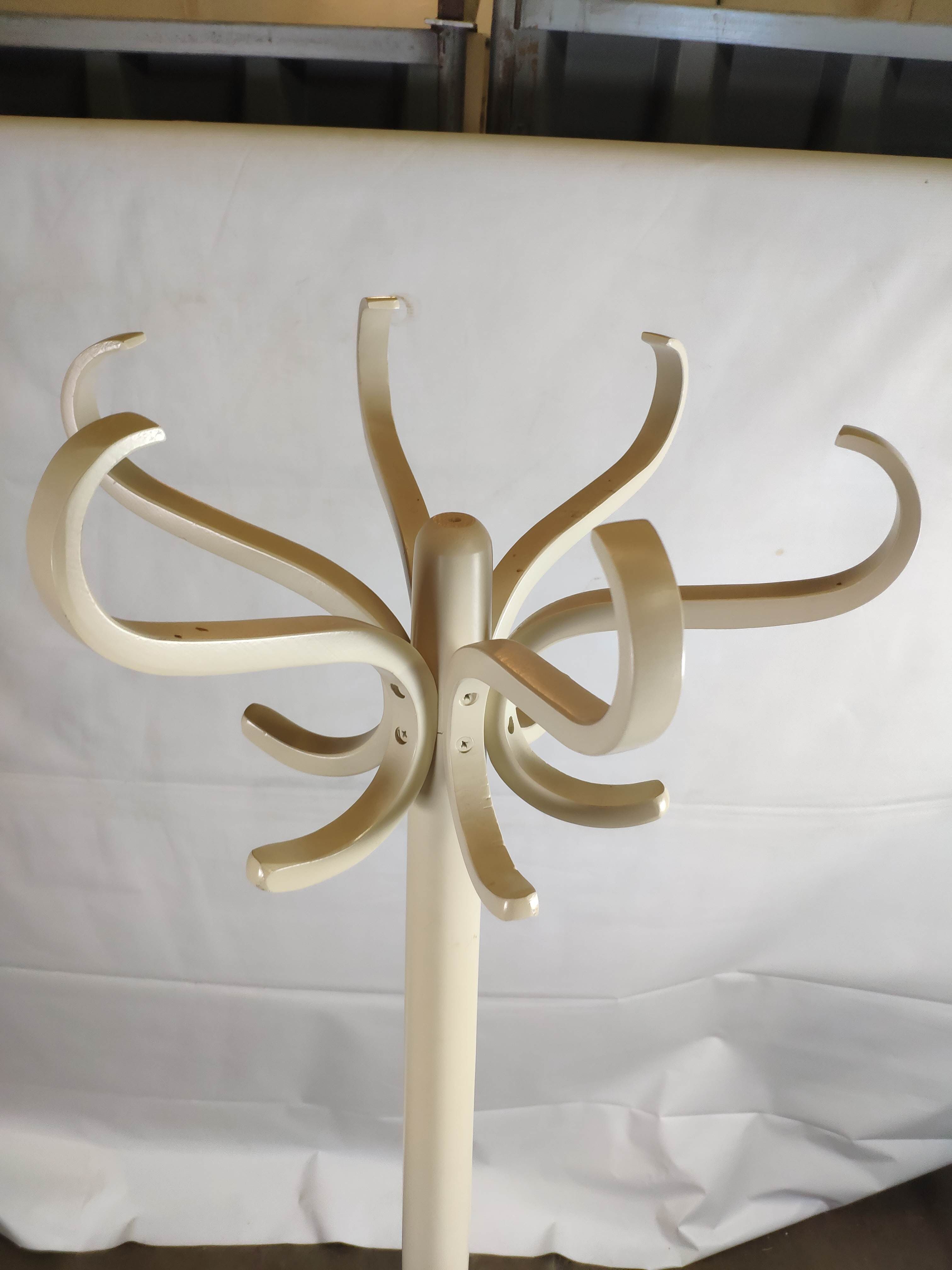 White mantle wooden Baumann parrot