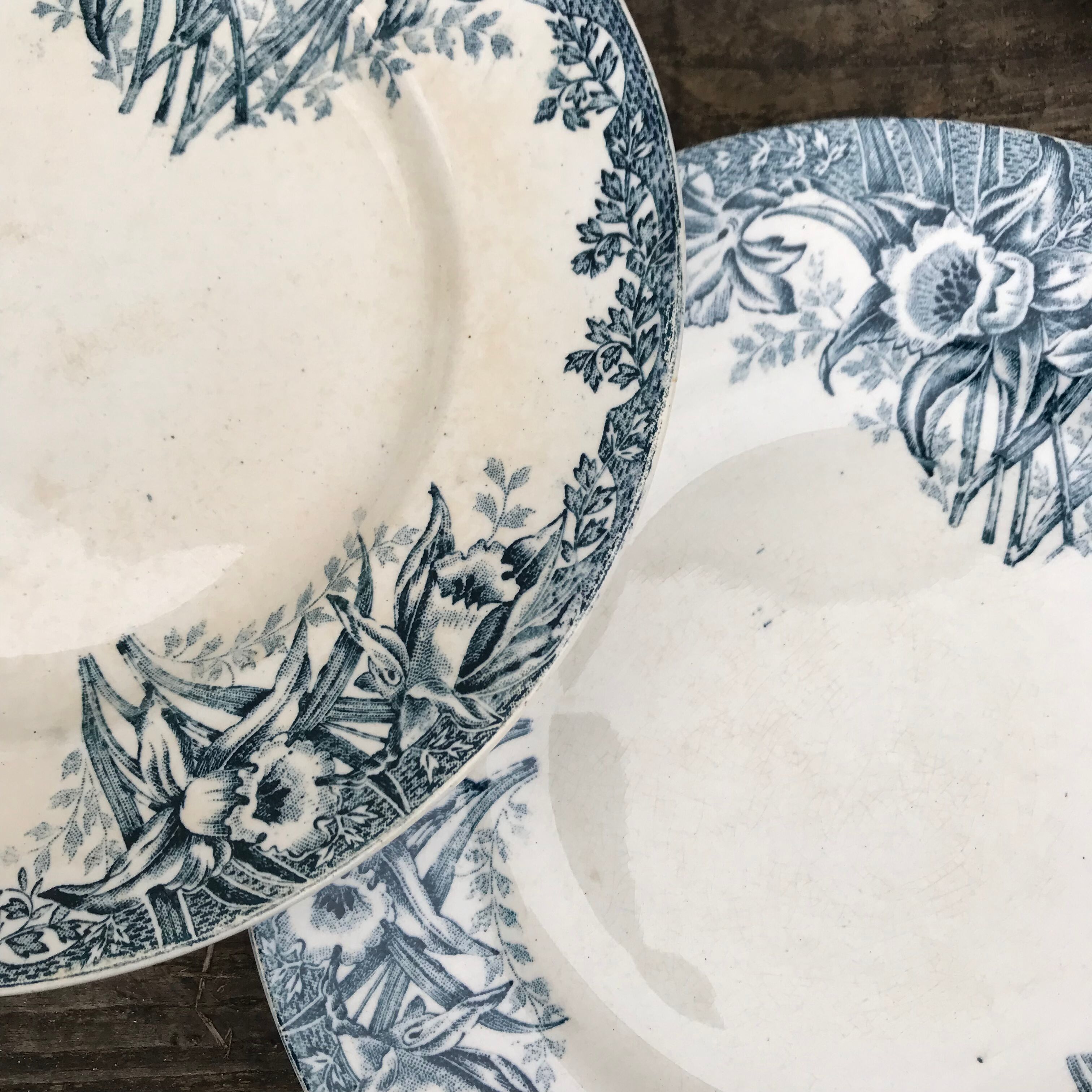 6 flat plates iron earth Narcisses StAmand