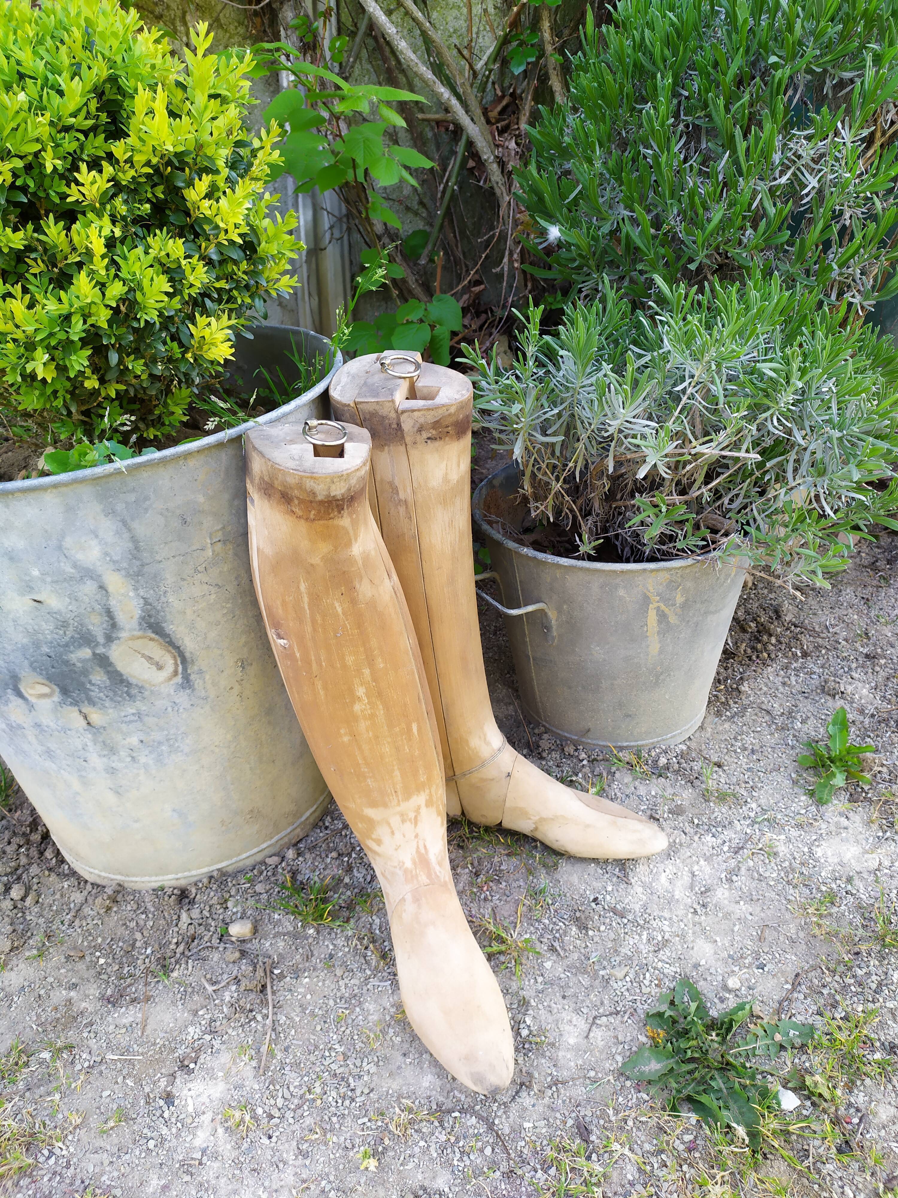 Boot shoe trees