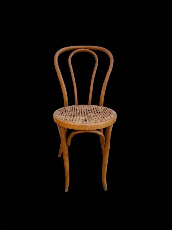 Bistro chair Horgen Glaris in curved wood and caning, Switzerland, circa 1900.
