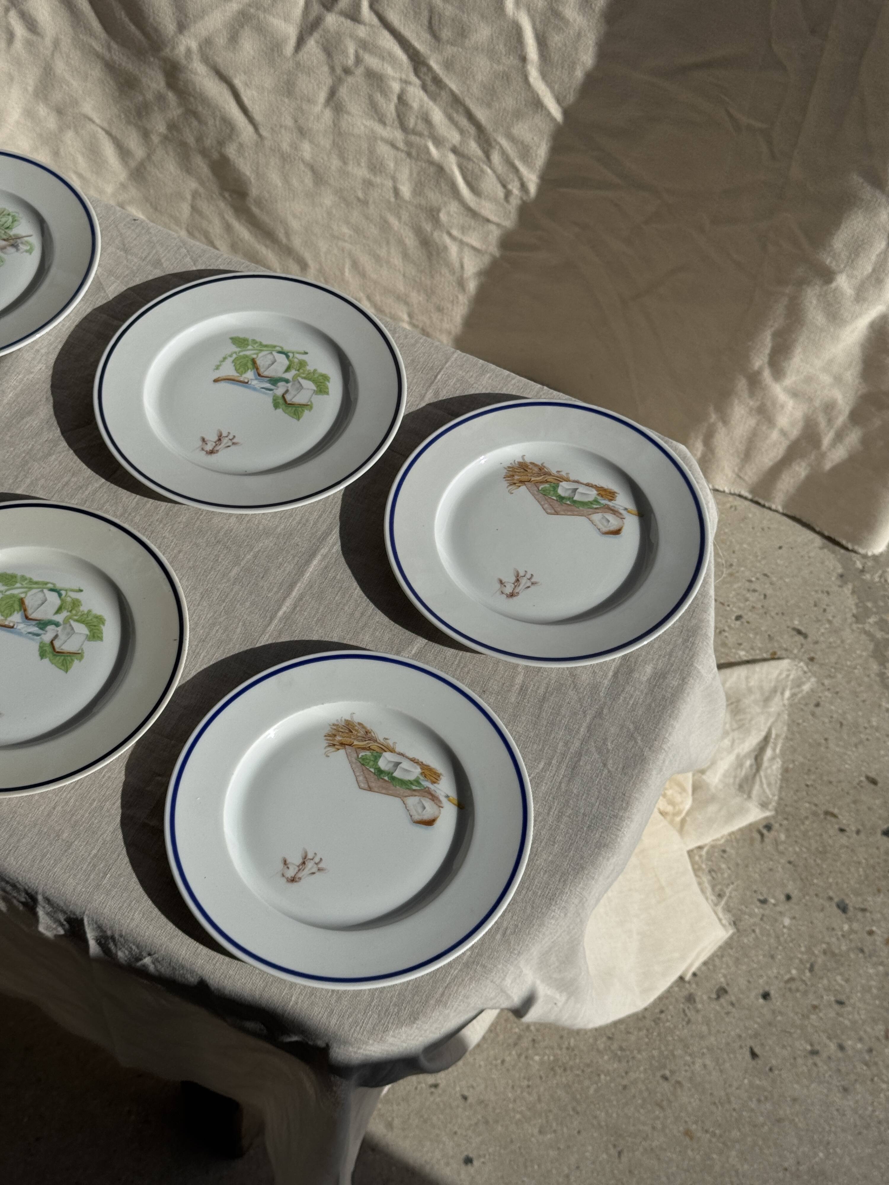 Set of 12 cheese plates France Chavroux 1990s D 21.5