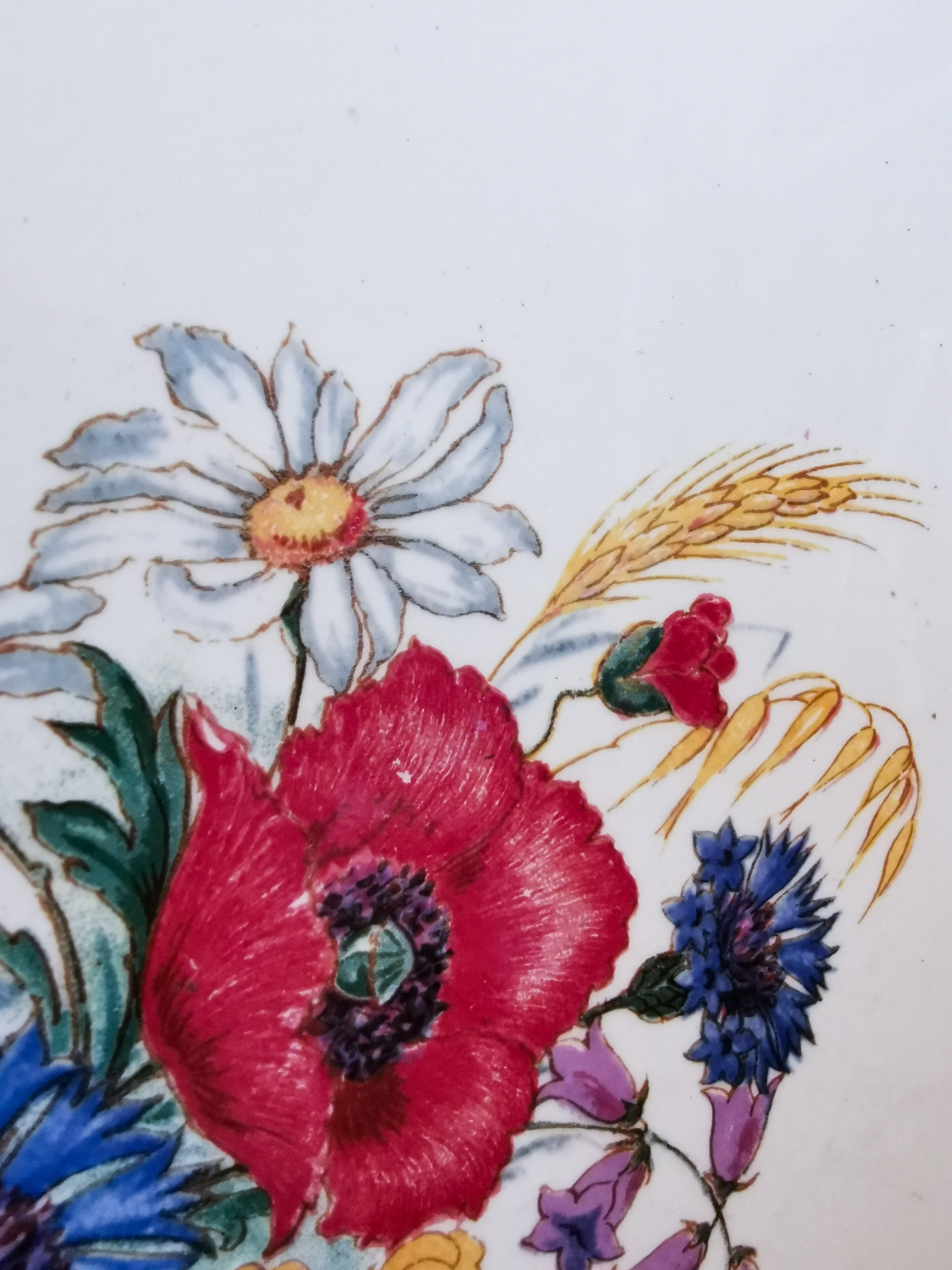 Serving dish Sarreguemines Agreste