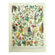 Gravure botanique 1928 A. Millot - Fleur et plante 1