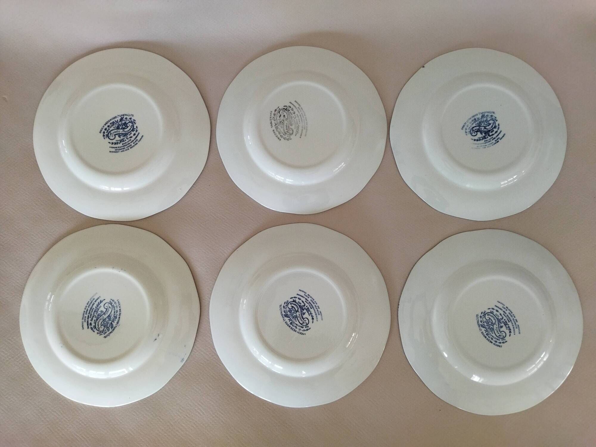 12 English dinner plates Enoch Wedgwood "Asiatic Pheasants"