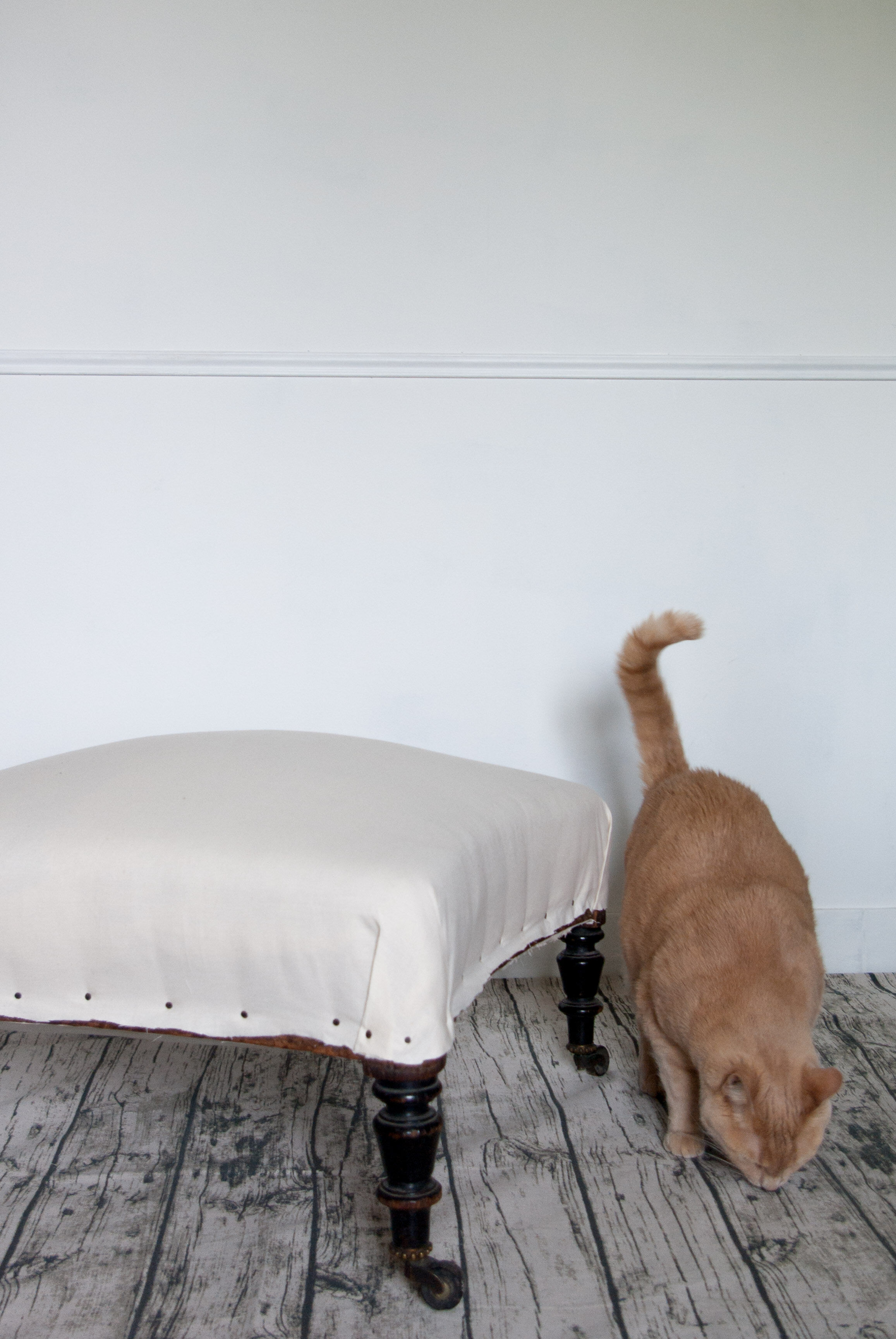 Pouf footrests Napoléon III