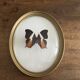 Butterfly frame naturalized curved glass