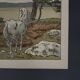 Lithograph by Henri Rivière Aspects of Nature - The Bay