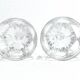 Baccarat - 2 White Wine Glasses - Harcourt Model