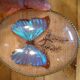 Curved oval frame with blue butterfly