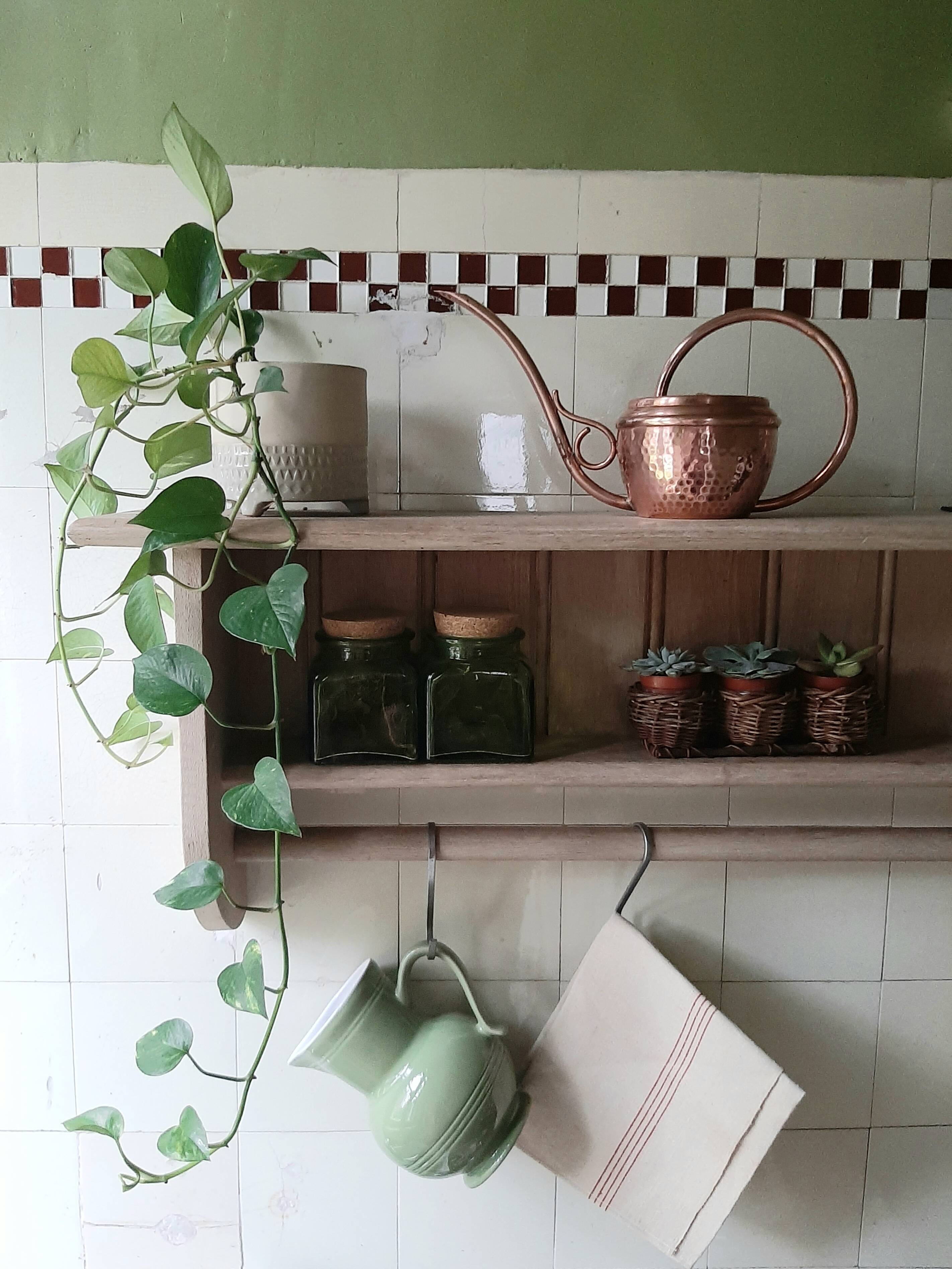 Vintage copper watering can