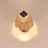 Solar desk lamp