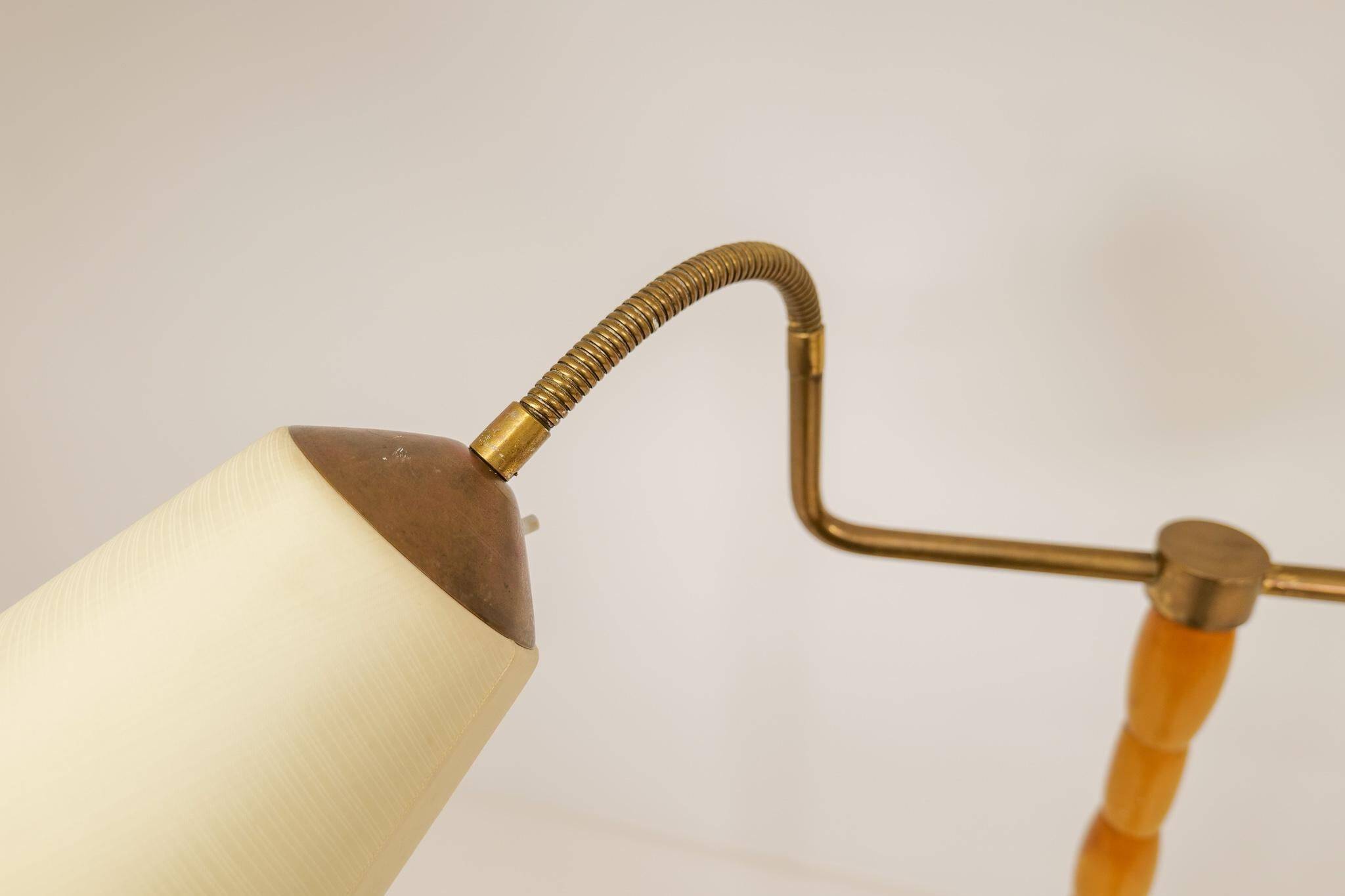 Mid-century organic floor lamp in birch and brass, Sweden, 1950s