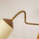 Mid-century organic floor lamp in birch and brass, Sweden, 1950s