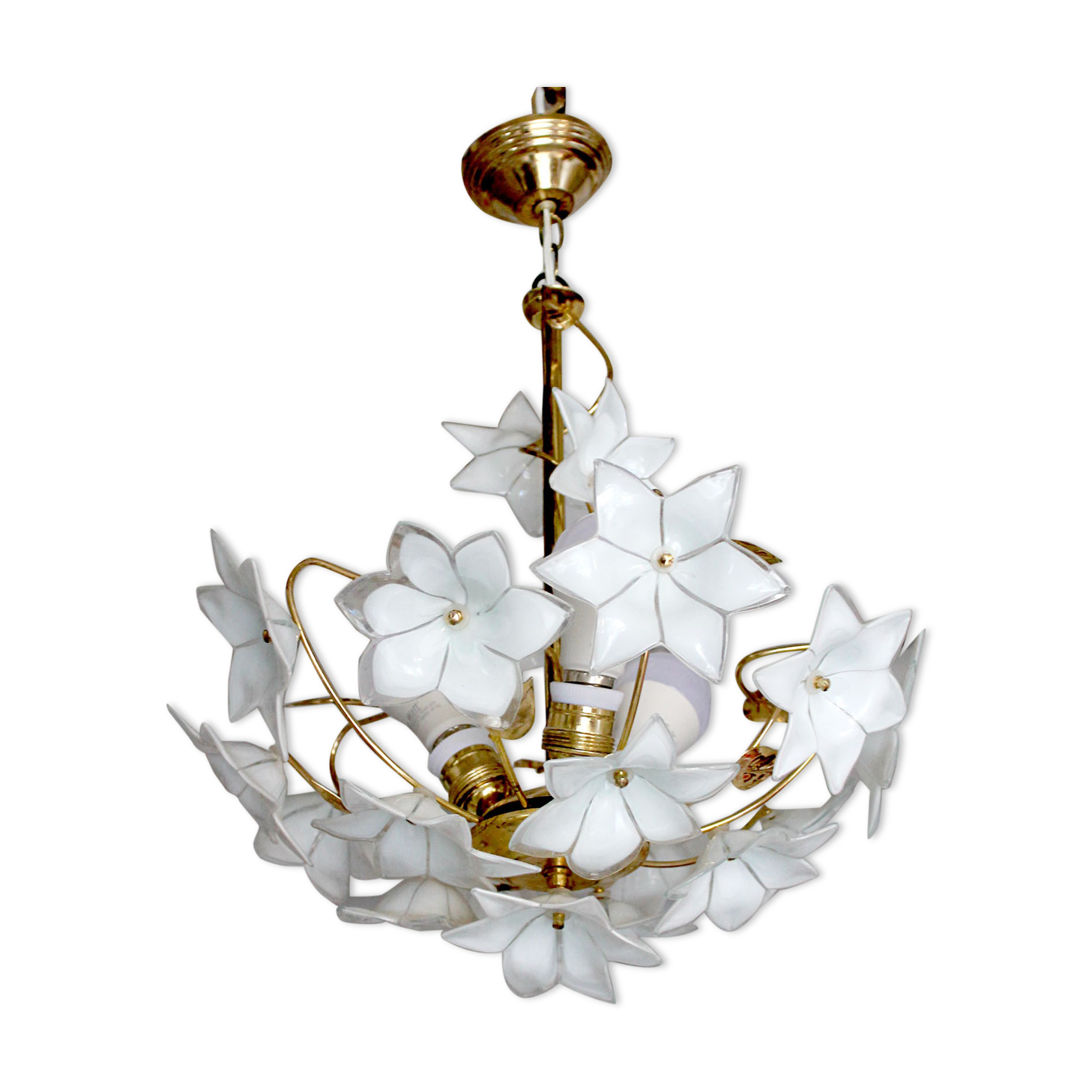 Murano and brass glass flowers