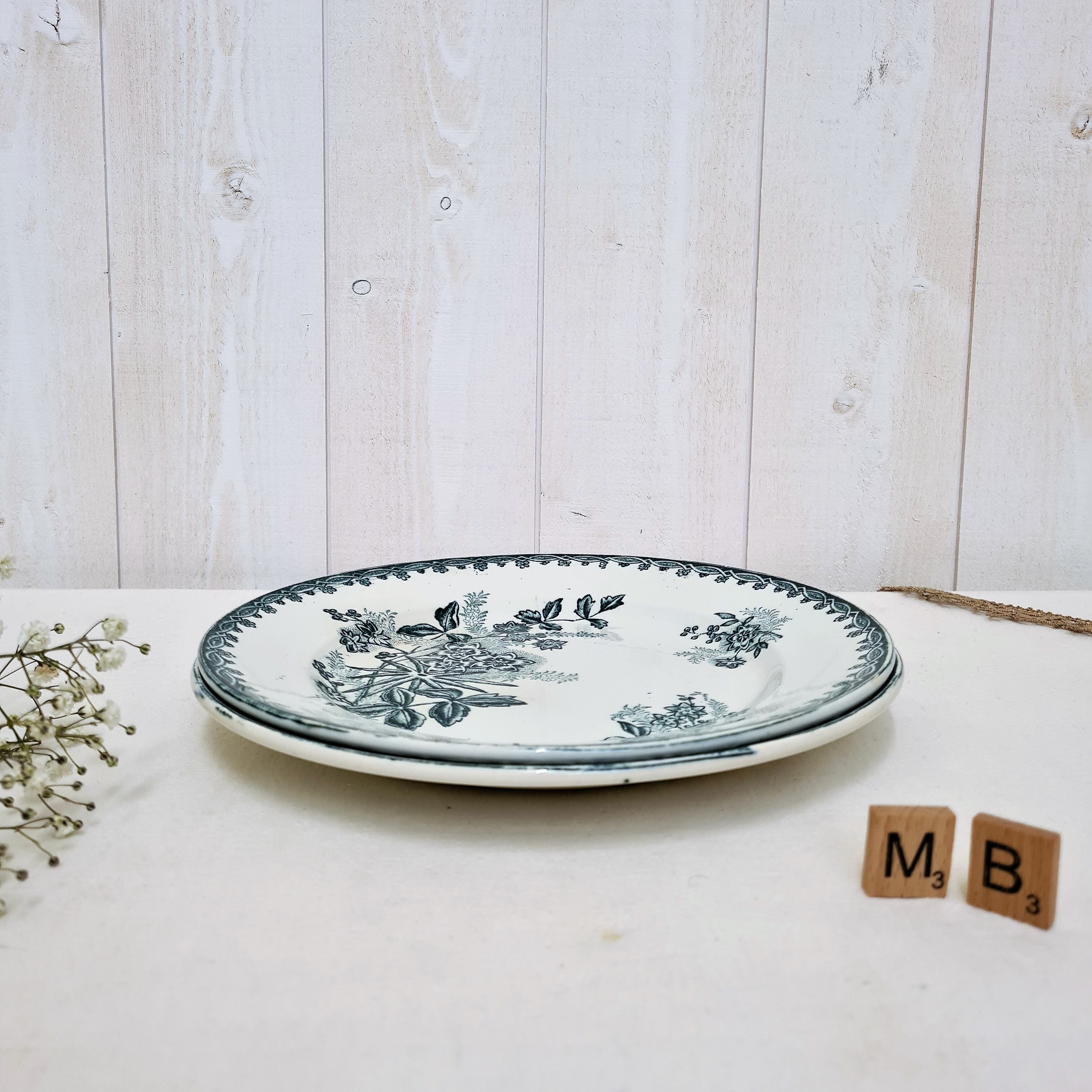 2 flat plates Iron Earth