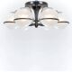 Gino Sarfatti ceiling light model 2042/6 original edition Arteluce