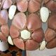 Suspension in mother-of-pearl shell and bohemian brass