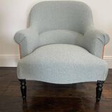 Small aquamarine toad