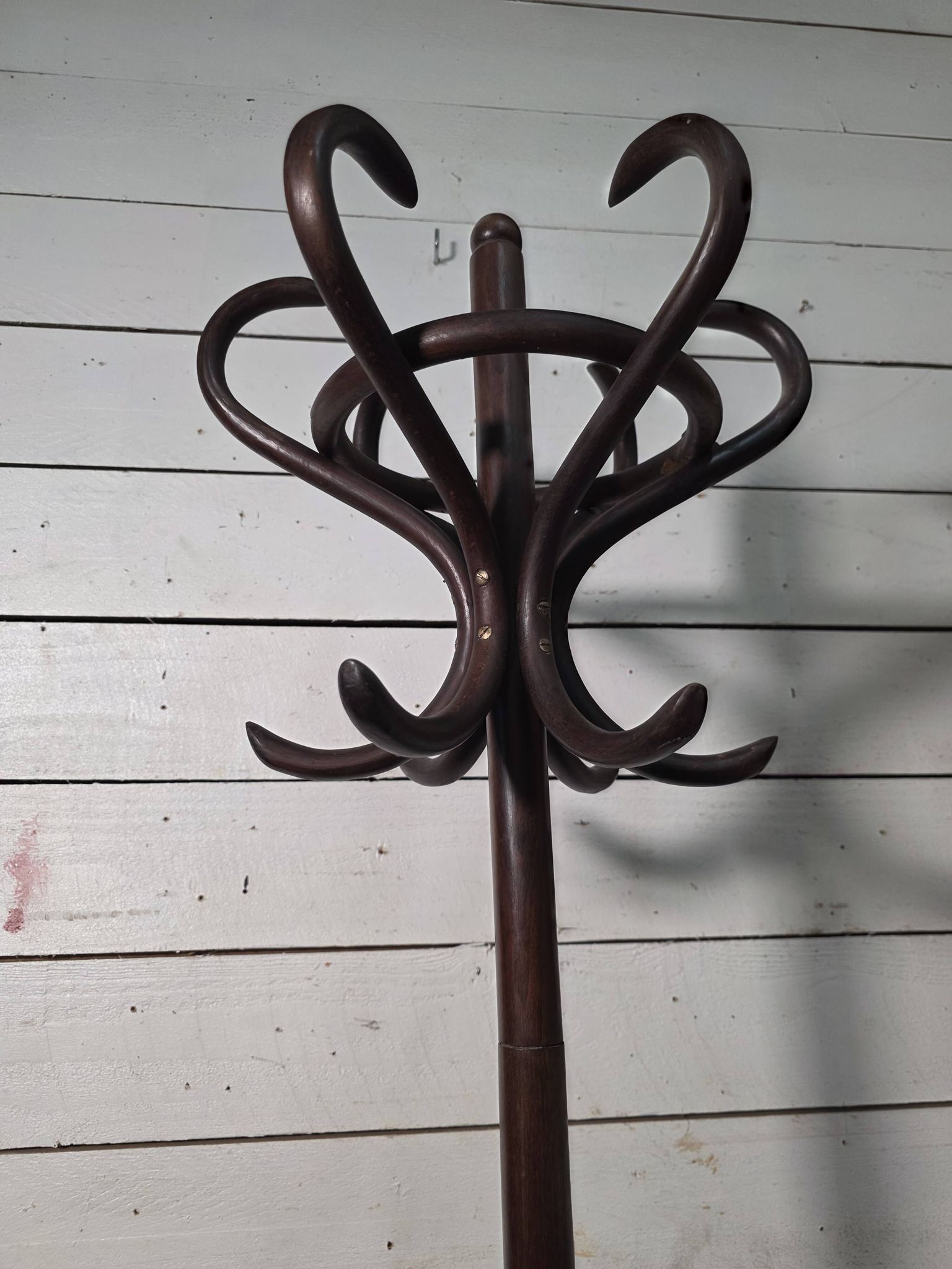 Perroquet en bois courbé ancien 