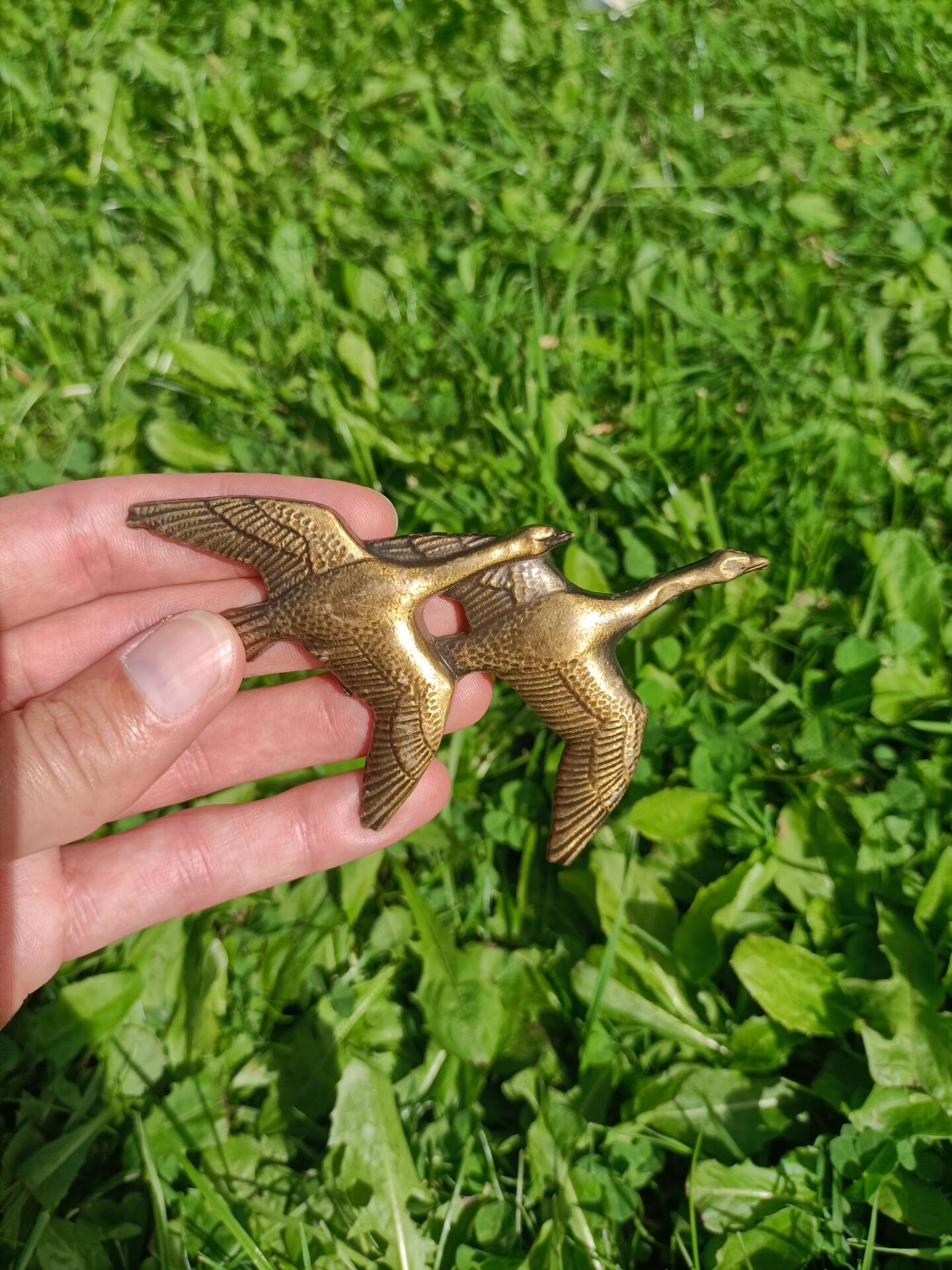 Bouton de porte dorés rétro Cygnes