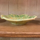 Hollow plates Cabbage in Slip