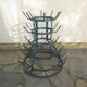 Yew tree, bottle rack or bottle hedgehog